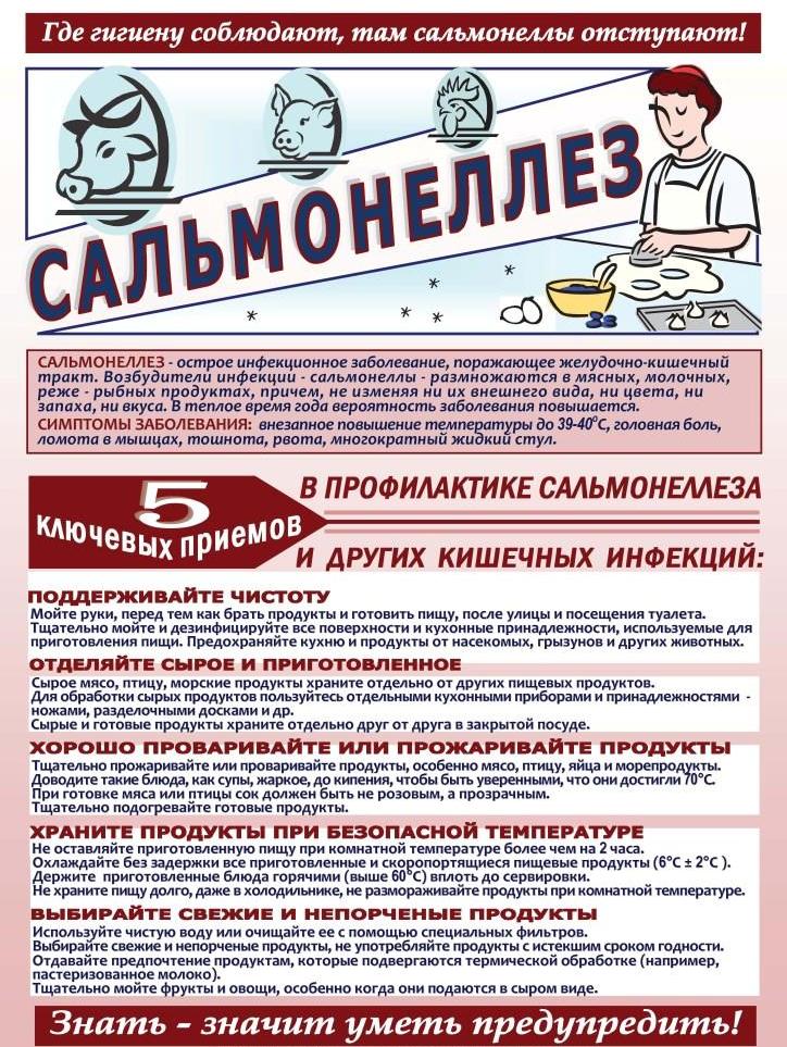 Профилактика сальмонеллеза.